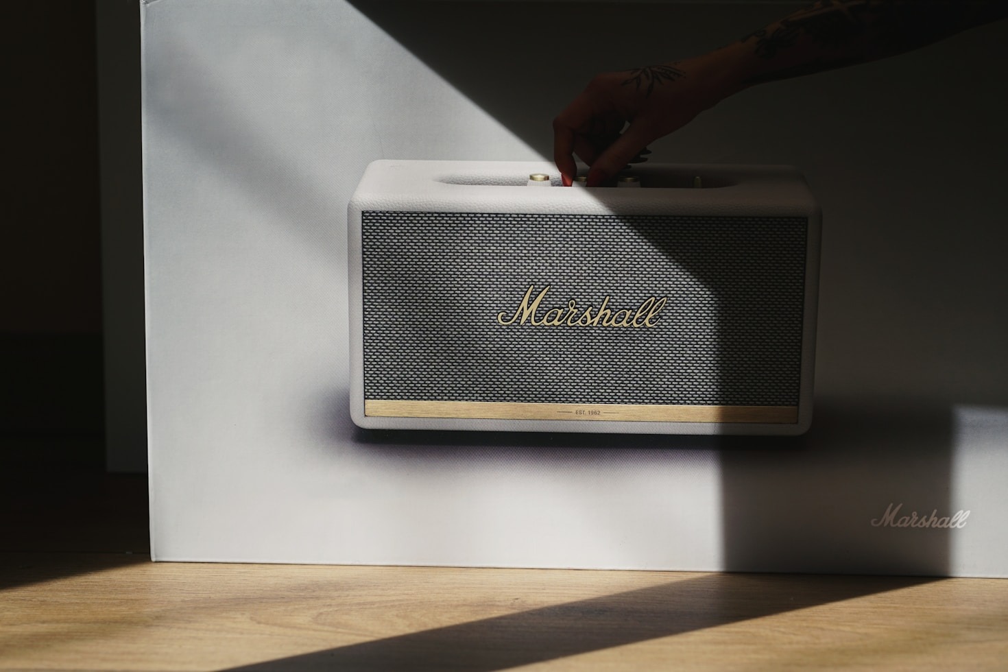 Exploring the Latest Tracks by Raven MacLean